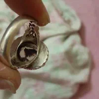 انگشترنقره  شجر رکاب دست ساز|جواهرات|شیراز, احمدی جنوبی|دیوار
