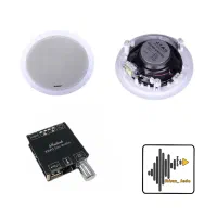پکیج 2تایی اسپیکر سقفی  (120w)