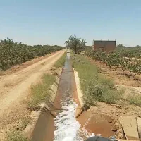 ۱۵۰ هکتار بورسی|فروش دفتر صنعتی، کشاورزی، تجاری|اصفهان, ملک|دیوار