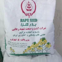 بازی هایولا 50