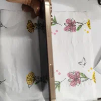 آیفون 16 پرومکس 256|موبایل|شیراز, فرهنگ شهر|دیوار