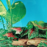 وسایل آکواریوم