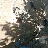 دوچرخه 24|دوچرخه، اسکیت، اسکوتر|خدا آفرین, |دیوار