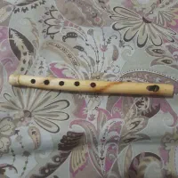 نی بلدی هم نمیخاد|سازهای بادی|قهدریجان, |دیوار