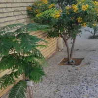 ویلا کنار ساحل بسیار تمیز