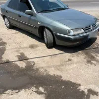 زانتیا ۸۵ سالم