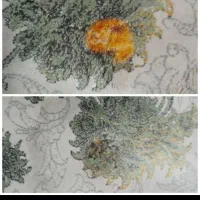 رفوگری وترمیم فرش کرمانشاه|خدمات پیشه و مهارت|سرپل ذهاب, |دیوار