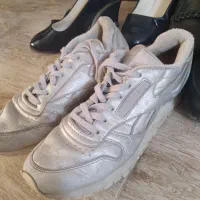 کفش|کیف، کفش، کمربند|شاهرود, |دیوار