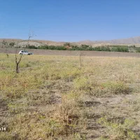 فروش زمین کشاورزی ۲۴۰۰ متری کمربندی جدید خانزنیان