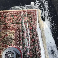 قالیشویی و تعمیرات حرفه ای فرش فدک|خدمات نظافت|شیراز, شهرک ولیعصر|دیوار