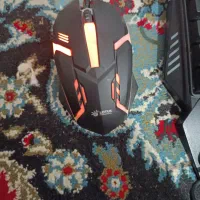 موس و کیبورد|قطعات و لوازم جانبی رایانه|کردکوی, |دیوار