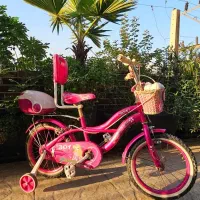 دوچرخه ۱۶ صورتی