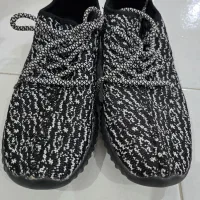 کتانی|کیف، کفش، کمربند|رشت, امین الضرب|دیوار