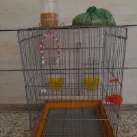 قفس پرنده بزرگ