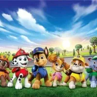 پانسیون سگ و گربه