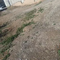 فروش زمین سند دار باغ علوی