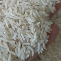 فروش برنج هاشمی درجه یک|خوردنی و آشامیدنی|نوشهر, |دیوار