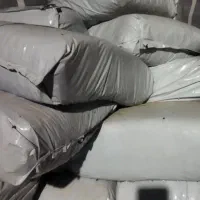 ذرت علوفه ای