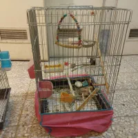 قفس|لوازم جانبی حیوانات|اصفهان, مهدی آباد|دیوار