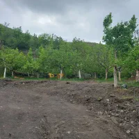 باغ ۲۰۰۰ متری باسند روستای عارفی