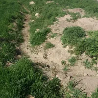زمین-باغچه-وکشاورزی-روستای-بردج400متر-سهمیه-آب