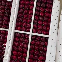 کارتن سازی|عمده‌فروشی|تهران, شهرک دانشگاه|دیوار