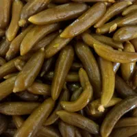 پخش عمده خیارشور|عمده‌فروشی|تهران, افسریه شمالی|دیوار