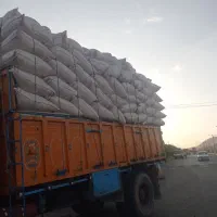 کاه گندم درجه یک