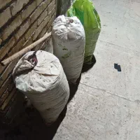 بار کفتر کود