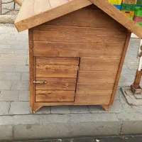 خانه سگ،وساخت آلاچیق، کلبه، پرگولا
