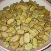 باقله خشک اسپانیایی زودپز  پر ثمر و پیله بلند|خوردنی و آشامیدنی|دهدشت, |دیوار