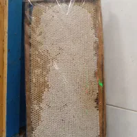 عسل