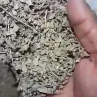 آویشن کوهی گل وبرگ