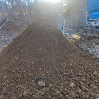 کود حیوانی گوسفندی