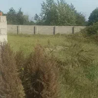 360متر-زمین-مسکونی-حومه-واجارگاه-کلاچای