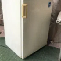 یخچال ۹ فوت