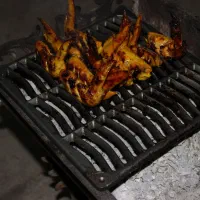 شلف کباب پز باربیکیو ماهی برگر