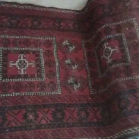 قالی|فرش|تربتحیدریه, میدان مرکزی|دیوار