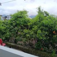 زمین-200-متری