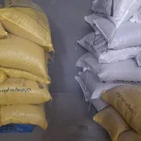 استخدام کارگر