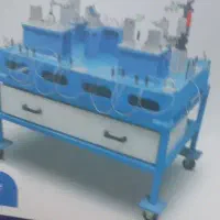 نیروی خدماتی