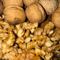 محصولات خانگی بدون مواد شیمیایی|خوردنی و آشامیدنی|شیراز, دلجو|دیوار