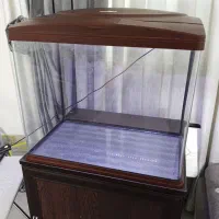 اکواریوم شرکتی ماهیران پایه دار شیشه خم در حد