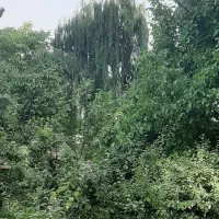 ۲۵۰۰مترباغ بی نظیر چسب بافت کنتور برق