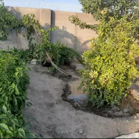 فروش زمین باغی در جاده بازمرگان تقاطع عسکریه|فروش خانه و ویلا|مشهد, میان ولایت|دیوار