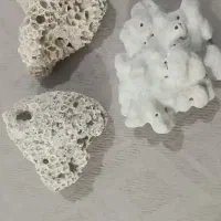 تعدادی سنگ مرجان