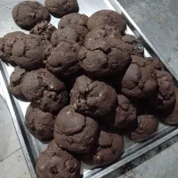 پخش کوکی گیلان در سراسر تهران