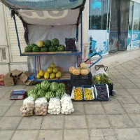 چرخ میوه فروشی