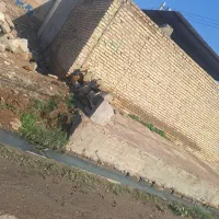 ۱۱۵متر زمین شیبان