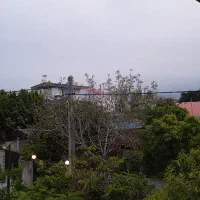علف تراشی